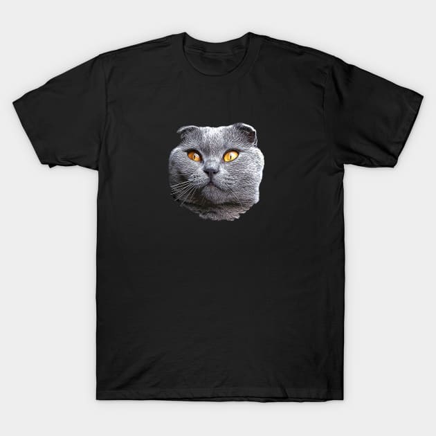 Scottish Fold Blue Beauty T-Shirt by ElegantCat